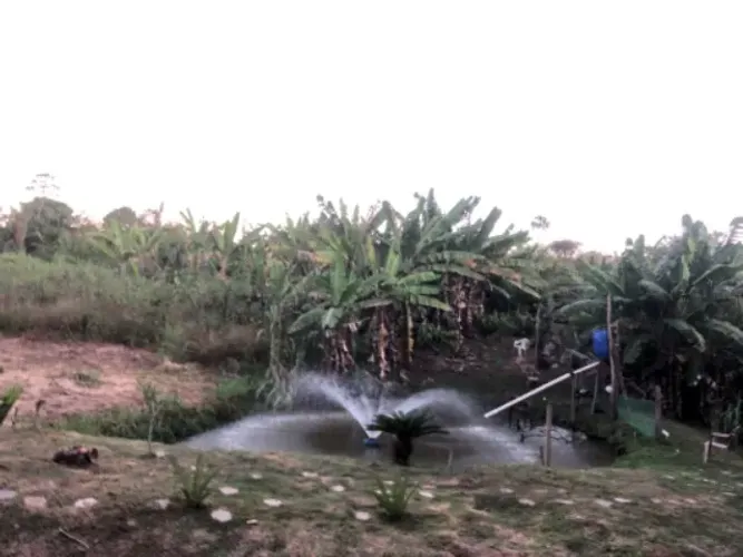 Venda-se nini chácara