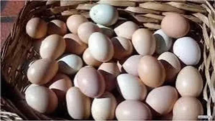 Ovos caipira 