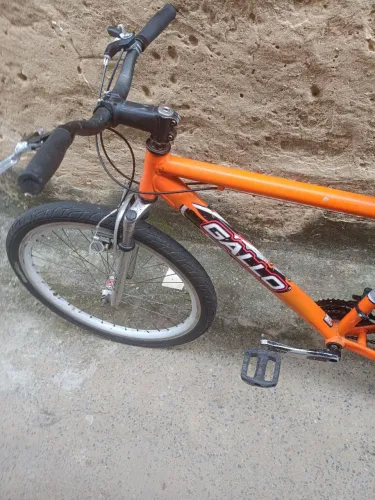 Bike gallo 