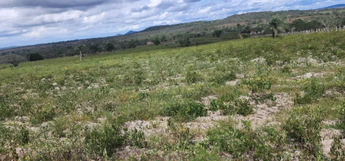 Vendo 20 tarefas de terra próximo a cidade de Anguera.
