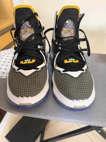 Nike Lebron 19
