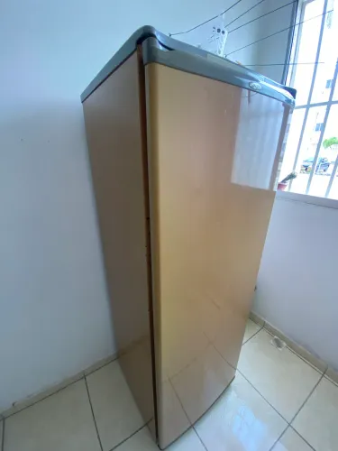 Geladeira Consul Pratice 340