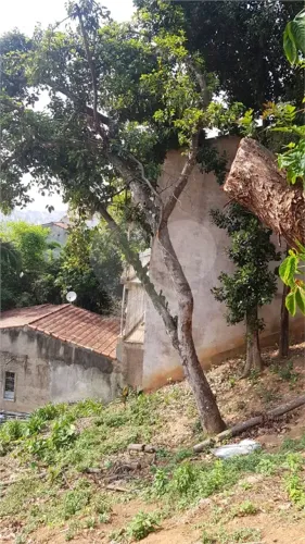 Terreno na subida da Serra da Cantareira.