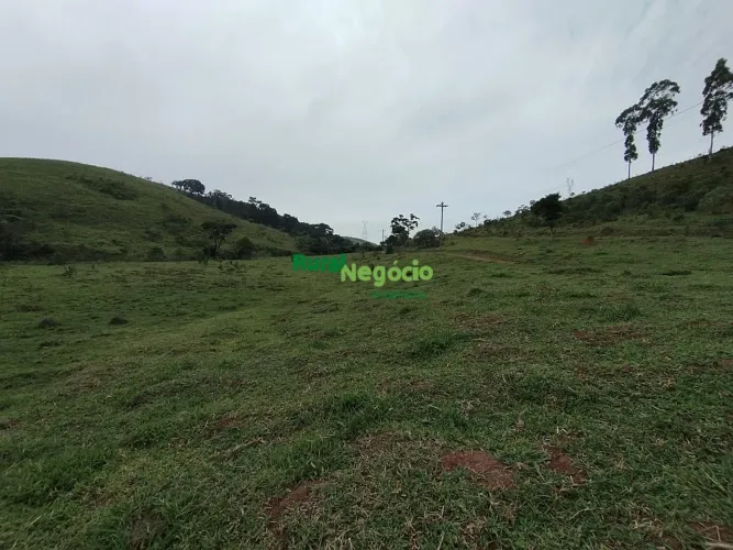SÍTIO COM FRENTE A DUTRA E BOA TOPOGRAFIA EM CRUZEIRO-SP