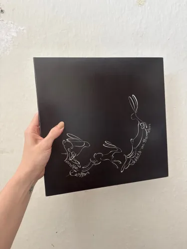Lp Vinil Vanessa Carlton Rabbits On The Run