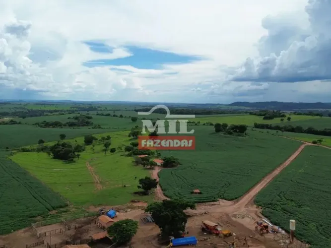 Fazenda 50 alqueires (242 hectares) Pontalina - Go