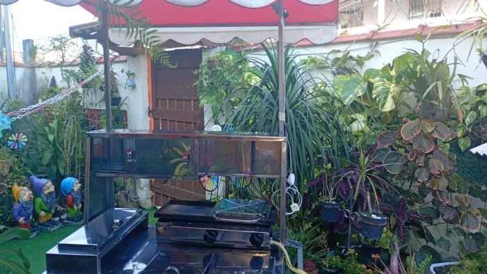 Carrocinha de lanche