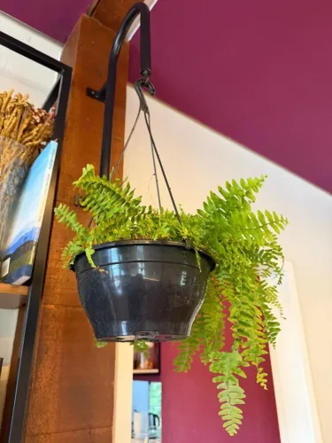 Suporte aramado para plantas