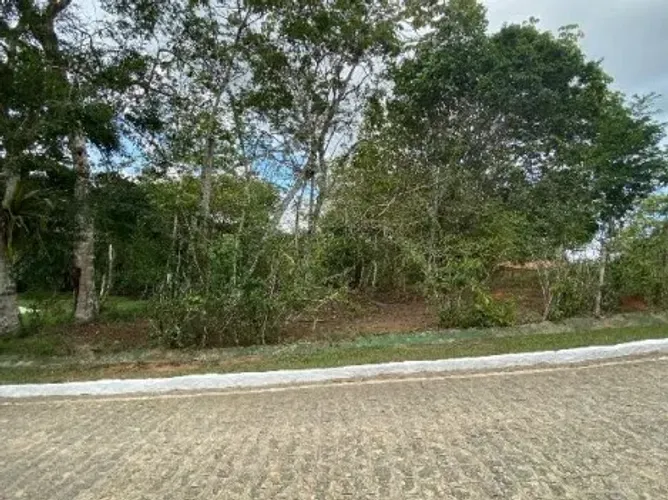Imóvel com bom aproveitamento  Terreno em Alianca - PE, RUA GETULIO VARGAS LT 10 | Venda D