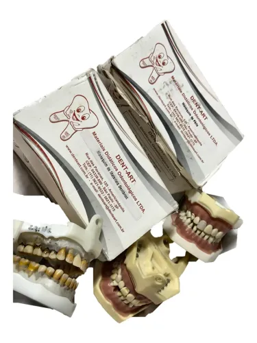 Manequim Odontológico Dent-Art (Pério e Materiais Dentários)