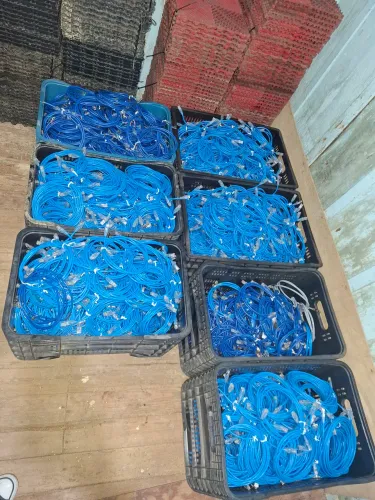 Cat 5, cat 6, Patch Cord.