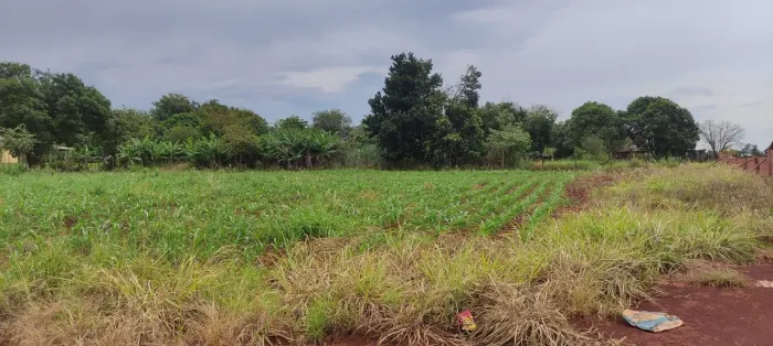 Vendo terreno de 3.000m na Fazenda Nata, Londrina