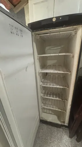 Freezer vertical 