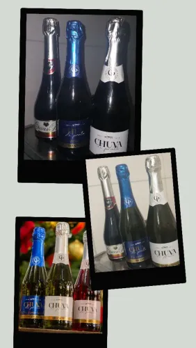 Bebidas champagne vinho