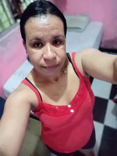 Diarista zs