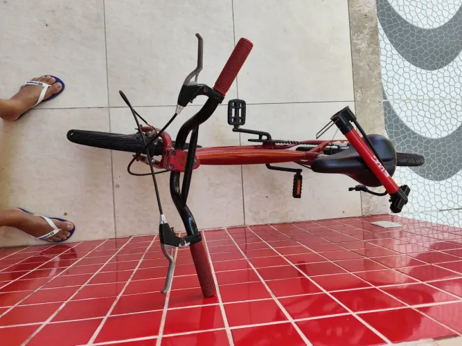 Bicicleta