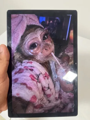 SAMSUNG GALAXY TAB A8