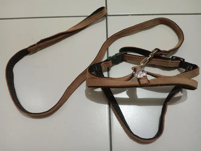 Peitoral e guia para cães
