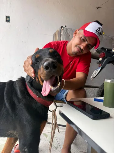 Rottweiler Lêia a Descrição