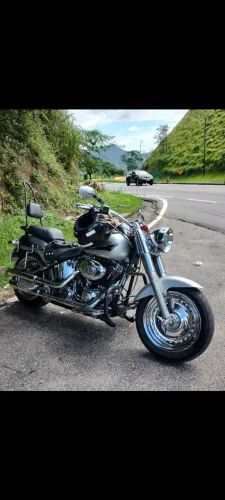 Harley Davidson Fet Boy fslts 2009