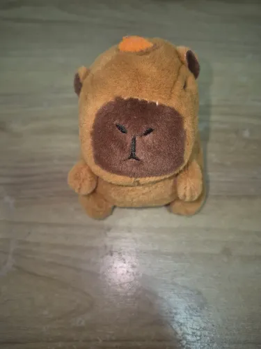 Capivara a corda