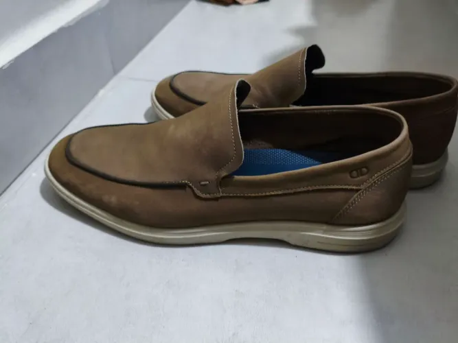 Mocassim democrata