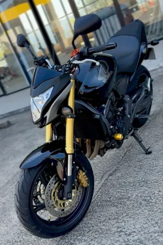 Hornet 2013 ABS