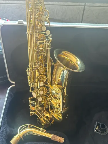 Saxofone Alto michel since 1999 