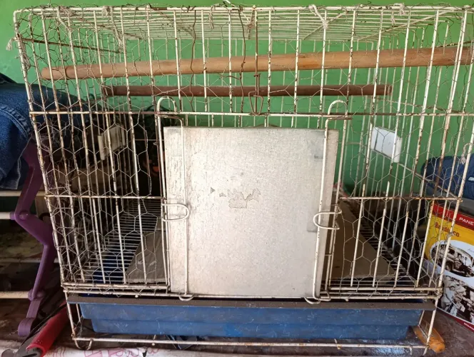 gaiola