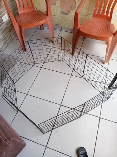 Cercado da cachorro