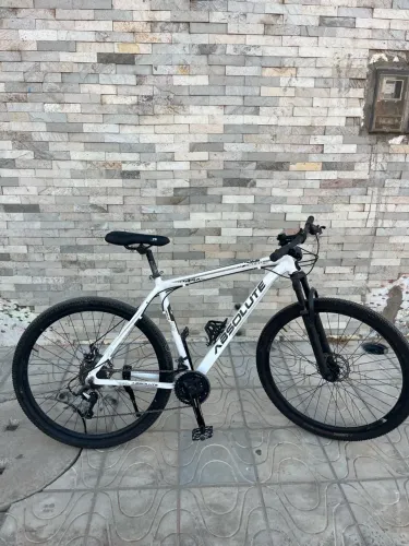 BICICLETA ARO 29