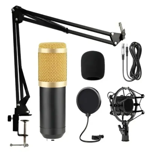 Kit Microfone Condensador Profissional Bm800 Leboss Unidirecional Preto Dourado Gravação 