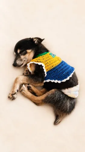 Camisa Pet do Brasil TM P