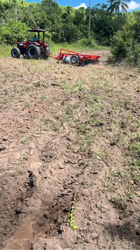 Terreno perto da praia de mangue seco 