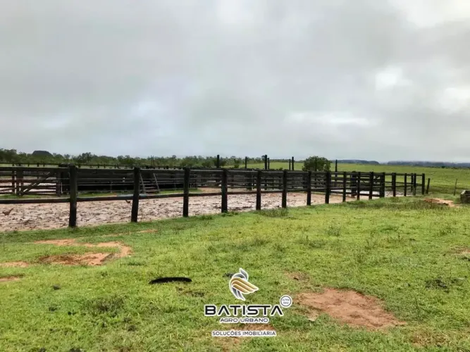 Fazenda 1.041 Alqueires, 330 km de Palmas