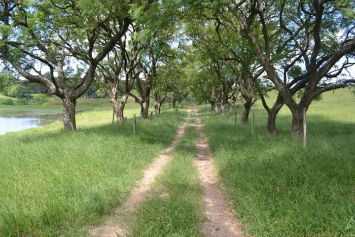 Sorocaba Fazenda 223 Alqueires