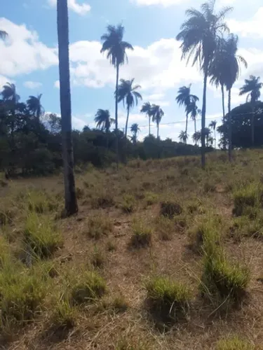 Fazendinha 85 Hectares...55 km Montes claros...