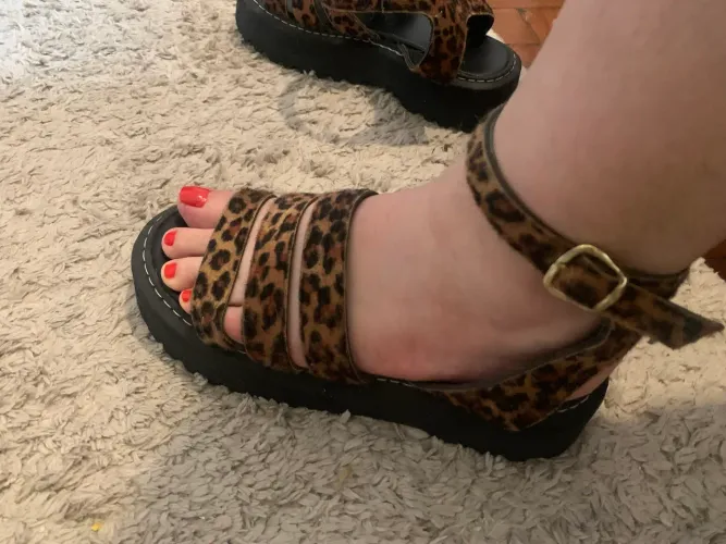 Sandália tratorada Animal Print n. 36