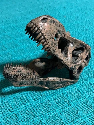 Jurassic Park Crânio T-Rex