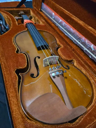 Violino Eagle VE 441