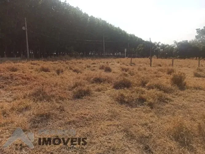 Sítio em São José do Rio Preto-SP somente pasto 22.800 metros Ac/Permuta até 300Mil