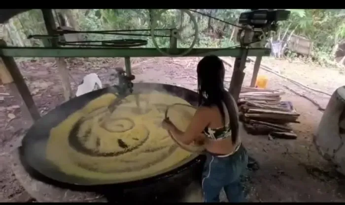 Braço mecânico de fazer farinha