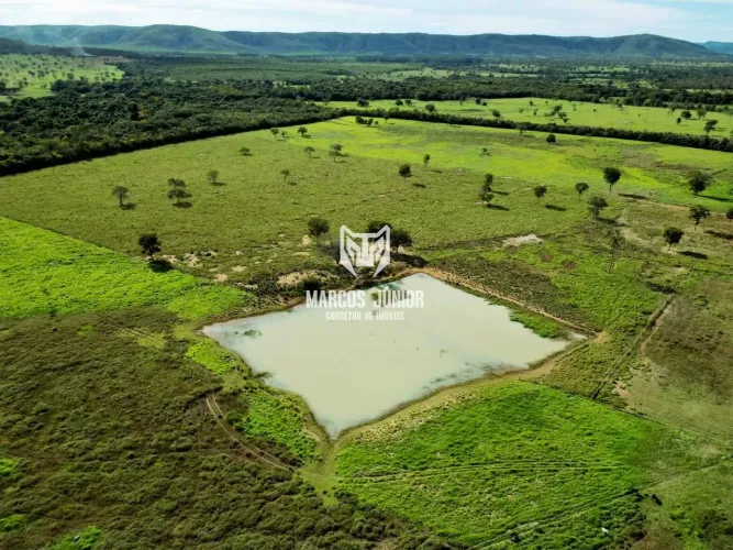 EXCELENTE FAZENDA DE PECUÁRIA NO NORTE DE MINAS COM TERRA DE CULTURA EM ENGENHEIRO NAVARRO