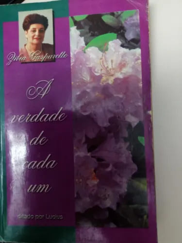 Livro - A verdade de cada um - Zibia Gasparetto - Espirita - Em ótimo estado