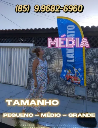 Wind banner só a bandeira