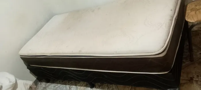  solteiro 