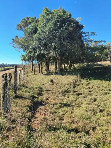 Terreno em Alfredo Wagner