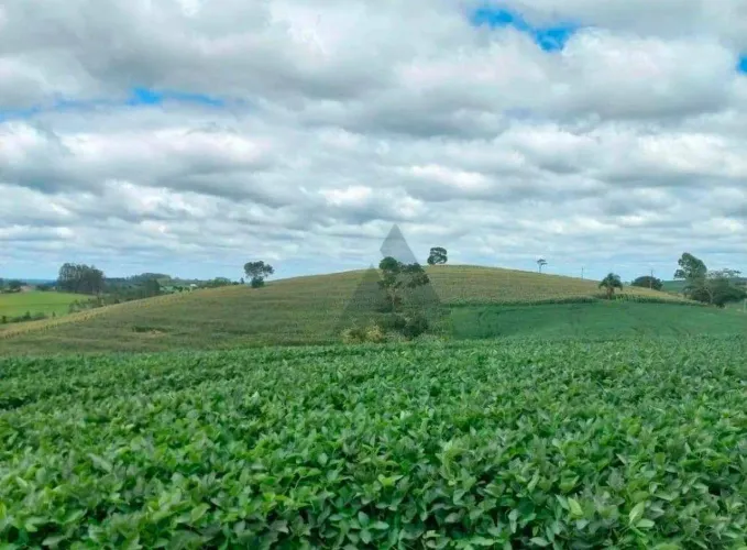 Área à venda de 5 alqueires em Itapetininga/SP.