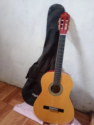 Vendo violao