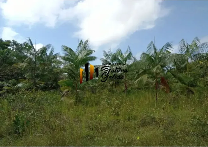 Vendo Terreno Documentado Na Pista da Estrada do Mosqueiro